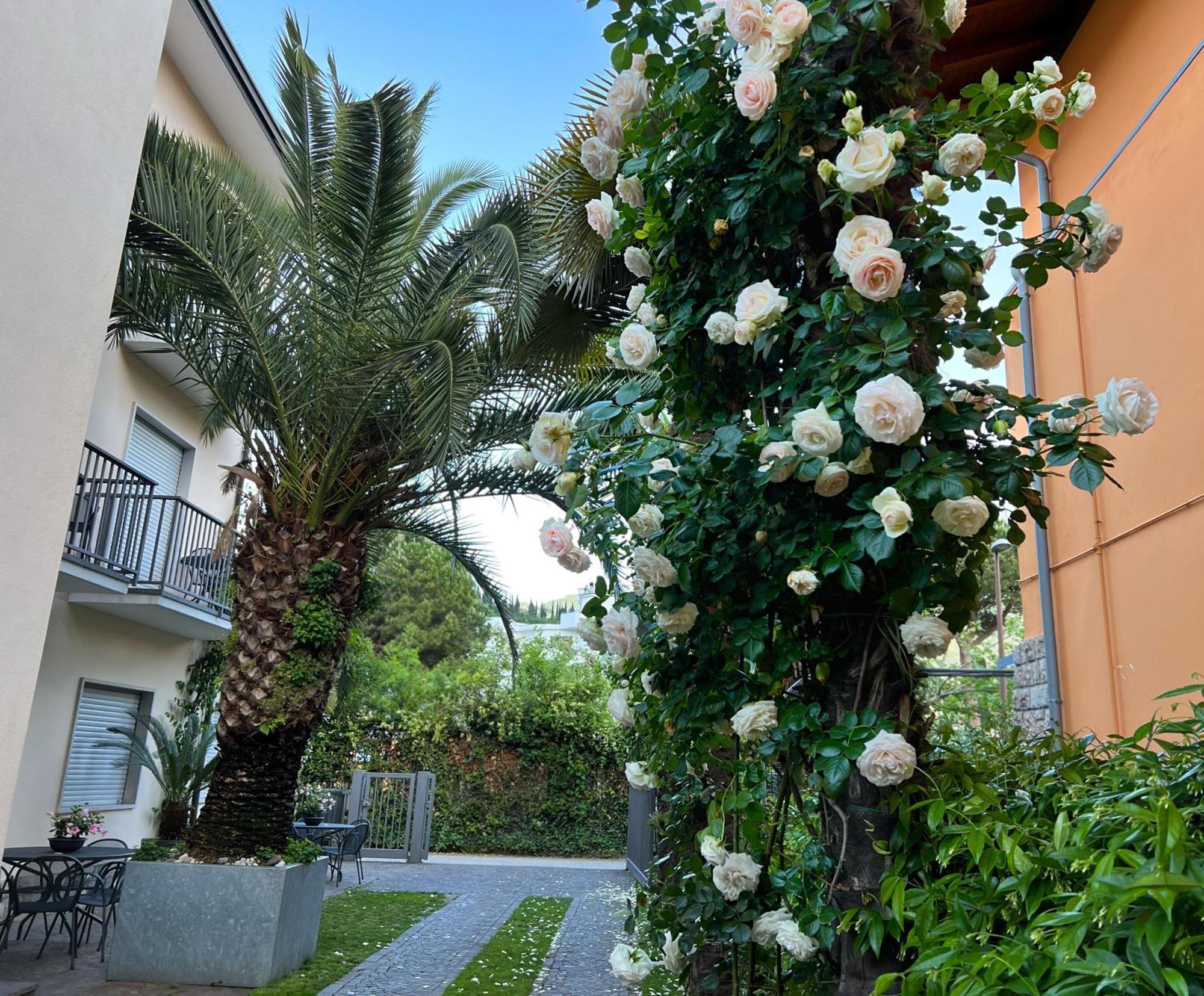 Villa Phoenix - Lake Apartments Riva del Garda Buitenkant foto